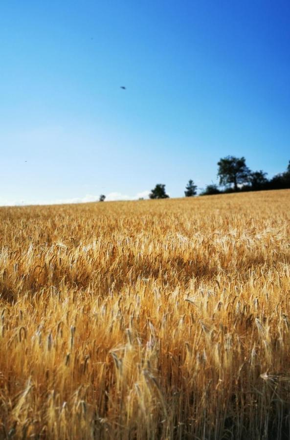 Evasion Nature Et Convivialite Sourcieux-les-Mines Esterno foto