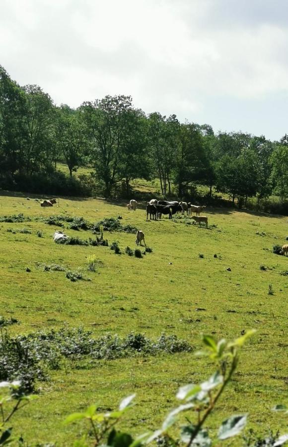 Evasion Nature Et Convivialite Sourcieux-les-Mines Esterno foto